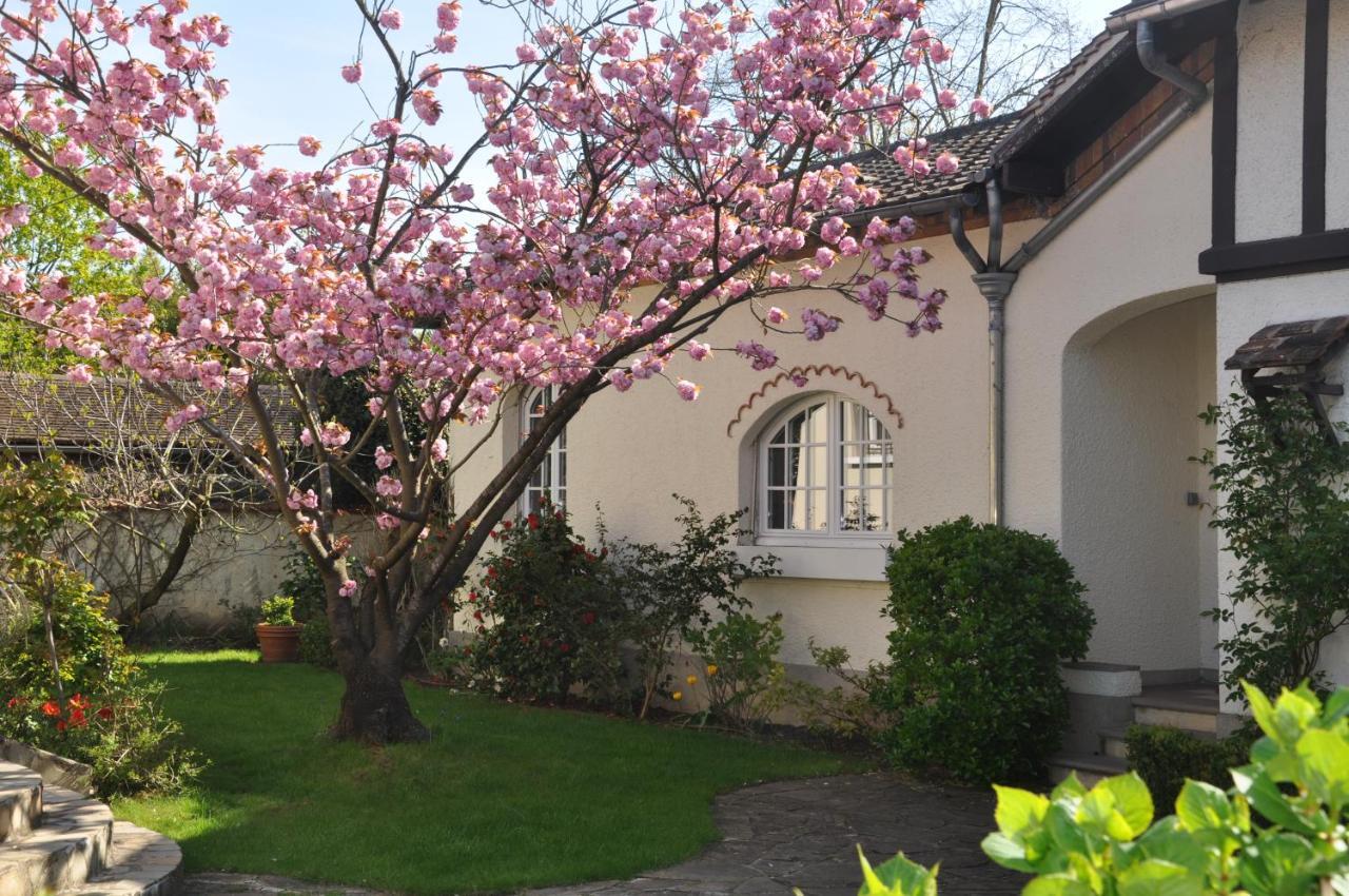 Maison D'Hotes Paris Riverside Saint-Maur-des-Fossés Εξωτερικό φωτογραφία